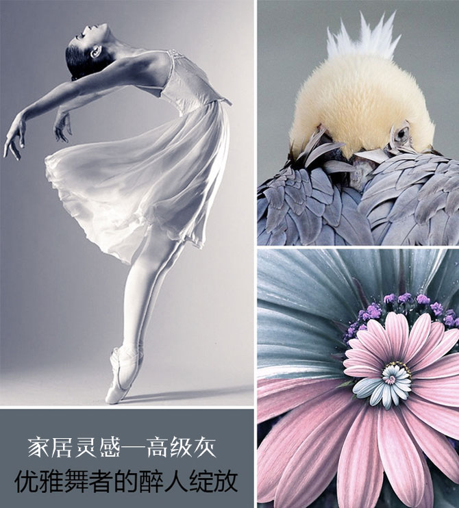 絕色搭配！這才是高級灰應有的姿態(tài)！