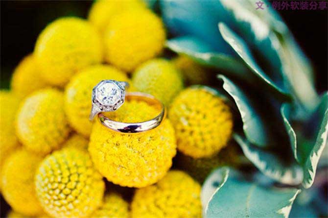 【例外.花箋記】金槌花，敲打在心間的小鼓槌！-別墅設計,軟裝設計,室內設計,豪宅設計,深圳例外軟裝設計公司