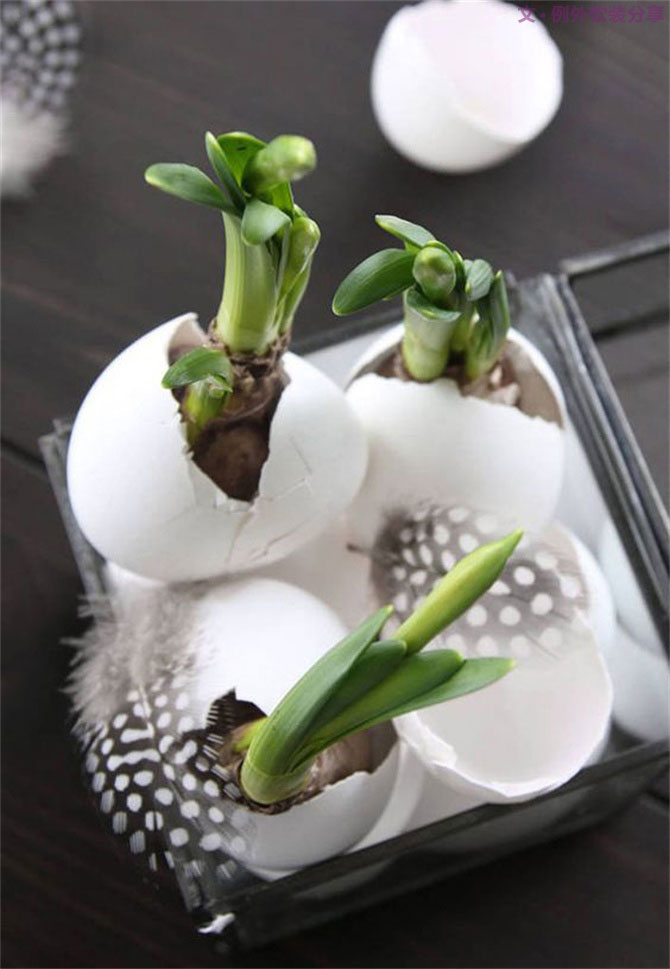 “她”不小心打碎了雞蛋，結果美翻了整個家！-別墅設計,軟裝設計,室內設計,豪宅設計,深圳例外軟裝設計公司