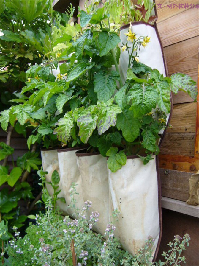 對于舊物家居設計師這樣用，給家添一抹生機！-別墅設計,軟裝設計,室內設計,豪宅設計,深圳例外軟裝設計公司