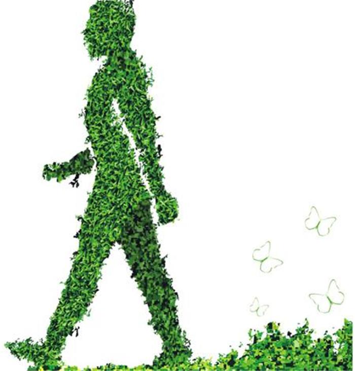 不能不知的11款強(qiáng)室內(nèi)吸毒植物，裝修房子必備-別墅設(shè)計(jì),軟裝設(shè)計(jì),室內(nèi)設(shè)計(jì),豪宅設(shè)計(jì),深圳例外軟裝設(shè)計(jì)公司