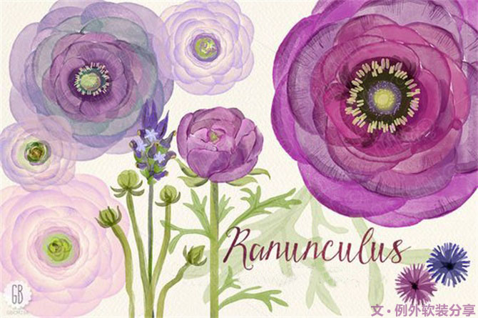 【例外·花箋記】洋牡丹，花叢中的人氣精靈-別墅設計,軟裝設計,室內設計,豪宅設計,深圳例外軟裝設計公司