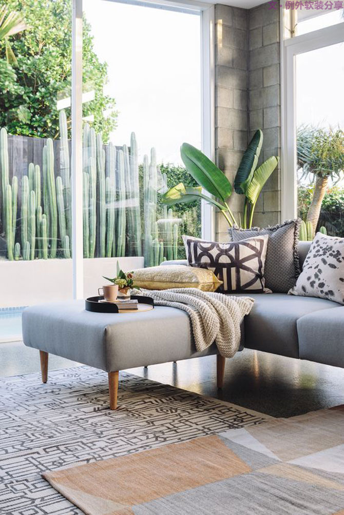 這些自帶天然氣質的網紅綠植，都成了設計界的新寵兒！-別墅軟裝設計,軟裝設計,室內軟裝設計,室內設計,豪宅設計,深圳例外軟裝設計公司