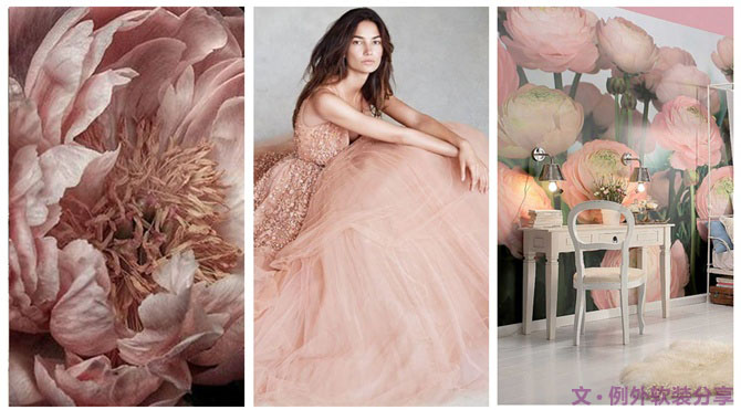 【例外·花箋記】洋牡丹，花叢中的人氣精靈-別墅設計,軟裝設計,室內設計,豪宅設計,深圳例外軟裝設計公司