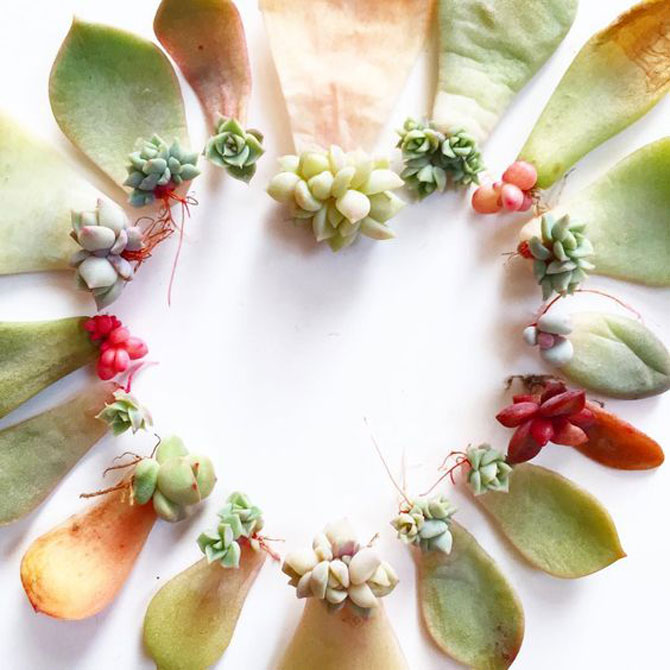 地球人都得了一種，看見“她”就想抱回家養(yǎng)的病！-別墅設計,軟裝設計,室內(nèi)設計,豪宅設計,深圳例外軟裝設計公司