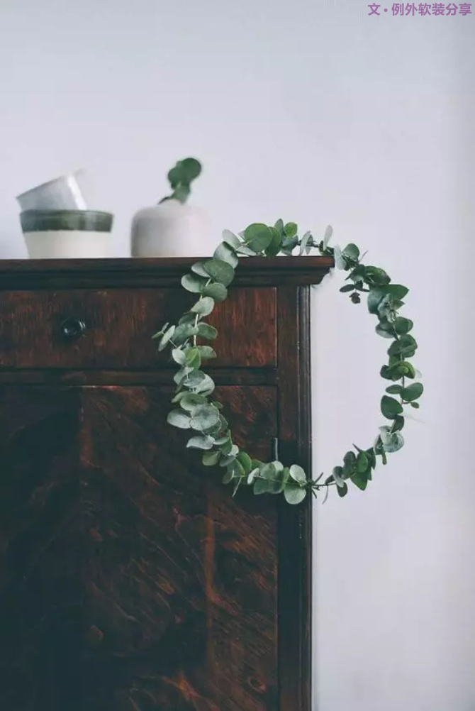 【例外.花箋記】尤加利，花藝界的百搭神葉-別墅設計,軟裝設計,室內設計,豪宅設計,深圳例外軟裝設計公司