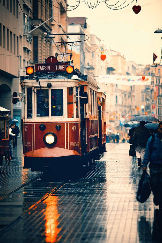 陽春三月，這些美景其實可以帶回家！-別墅設計,軟裝設計,室內設計,豪宅設計,深圳例外軟裝設計公司