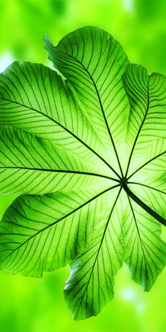 專(zhuān)家教你打造初春景象，它是世界無(wú)所不在的色調(diào)！-別墅設(shè)計(jì),軟裝設(shè)計(jì),室內(nèi)設(shè)計(jì),豪宅設(shè)計(jì),深圳例外軟裝設(shè)計(jì)公司