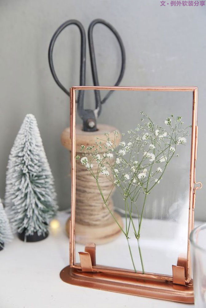 養不活仙人掌，卻硬生生把家里變成了小森林！-別墅軟裝設計,軟裝設計,室內軟裝設計,室內設計,豪宅設計,深圳例外軟裝設計公司