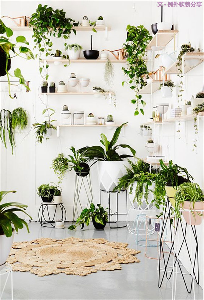 這種任性的綠植新玩法，你值得一試！-別墅設(shè)計,軟裝設(shè)計,室內(nèi)設(shè)計,豪宅設(shè)計,深圳例外軟裝設(shè)計公司