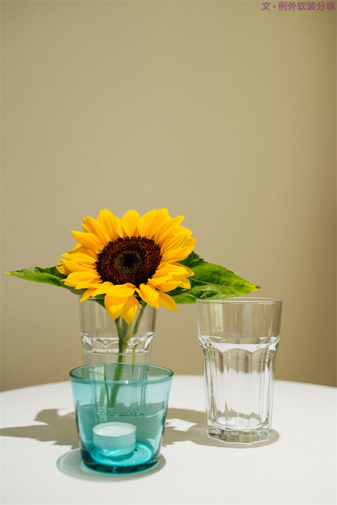 設計師揭秘8種適合冬季擺放的鮮花！-別墅設計,軟裝設計,室內設計,豪宅設計,深圳例外軟裝設計公司