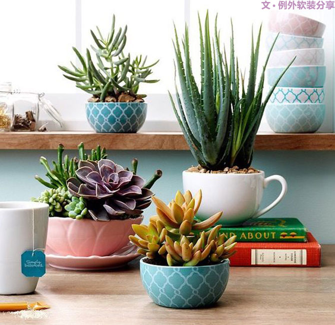 地球人都得了一種，看見“她”就想抱回家養(yǎng)的病！-別墅設計,軟裝設計,室內(nèi)設計,豪宅設計,深圳例外軟裝設計公司