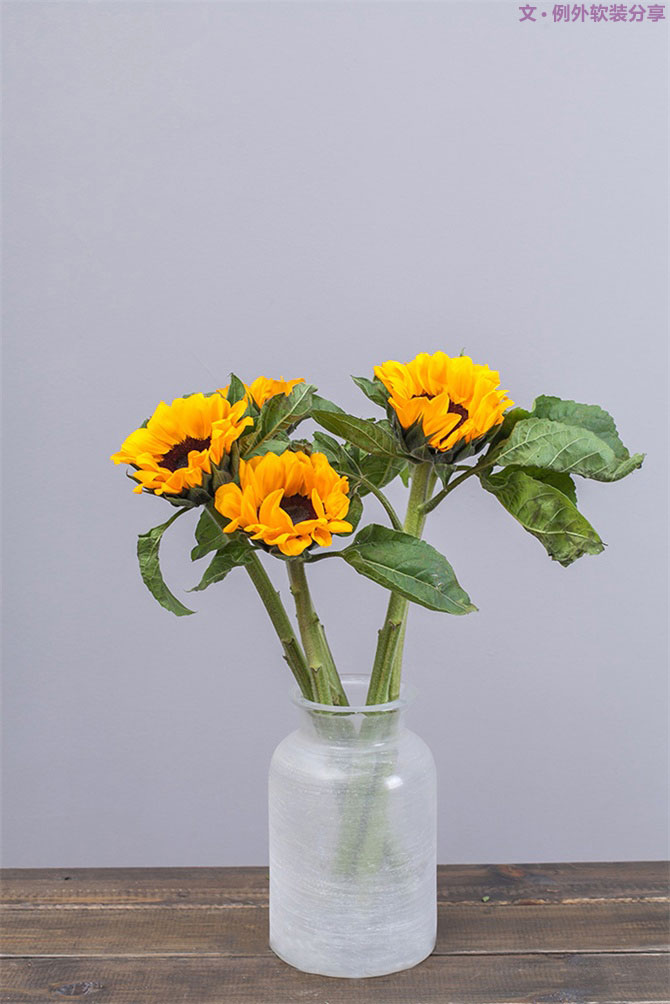 設計師揭秘8種適合冬季擺放的鮮花！-別墅設計,軟裝設計,室內設計,豪宅設計,深圳例外軟裝設計公司