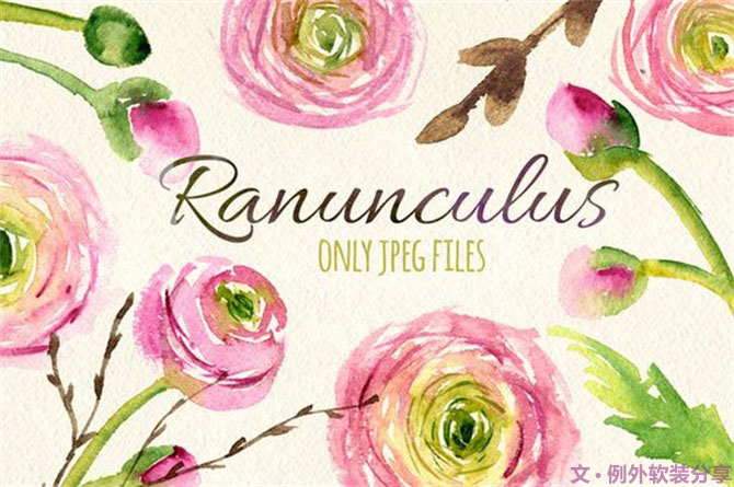 【例外·花箋記】洋牡丹，花叢中的人氣精靈-別墅設計,軟裝設計,室內設計,豪宅設計,深圳例外軟裝設計公司