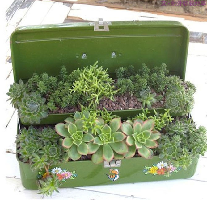 別再花錢(qián)買(mǎi)普通的花盆了，這才是種花神器！-別墅設(shè)計(jì),軟裝設(shè)計(jì),室內(nèi)設(shè)計(jì),豪宅設(shè)計(jì),深圳例外軟裝設(shè)計(jì)公司