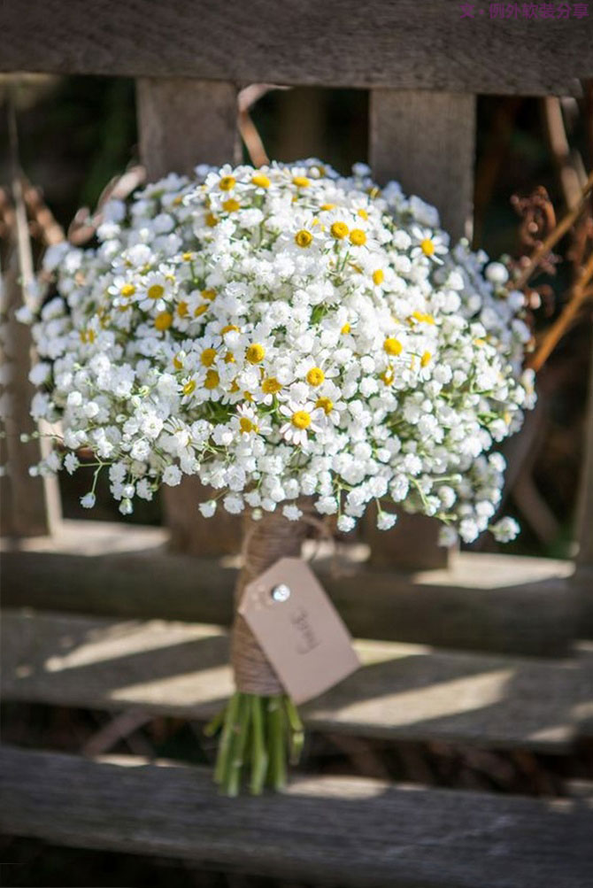 設計師揭秘8種適合冬季擺放的鮮花！-別墅設計,軟裝設計,室內設計,豪宅設計,深圳例外軟裝設計公司