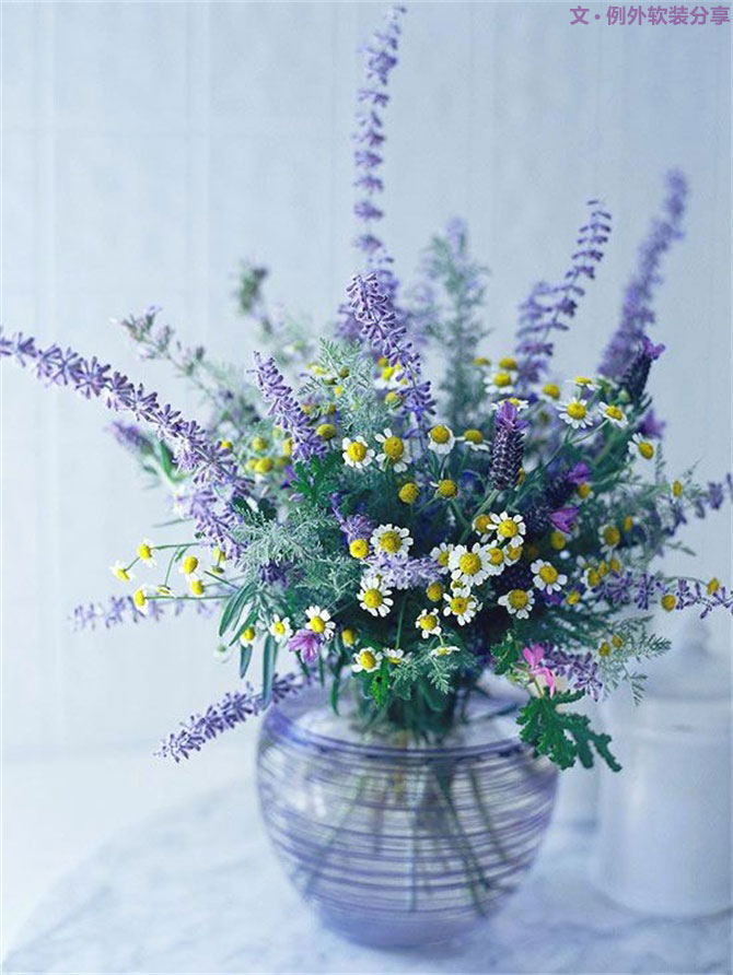 設計師揭秘8種適合冬季擺放的鮮花！-別墅設計,軟裝設計,室內設計,豪宅設計,深圳例外軟裝設計公司