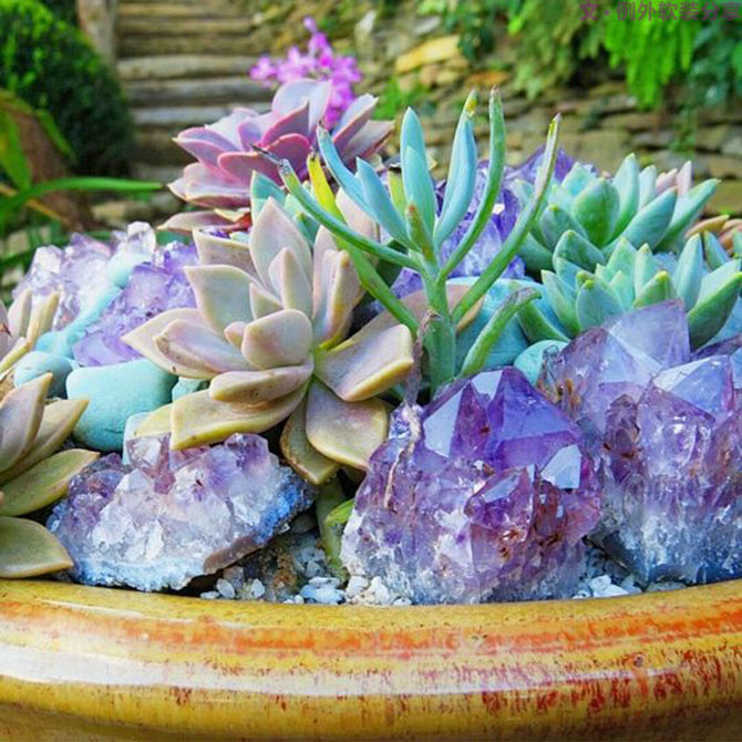 地球人都得了一種，看見“她”就想抱回家養(yǎng)的病！-別墅設計,軟裝設計,室內(nèi)設計,豪宅設計,深圳例外軟裝設計公司