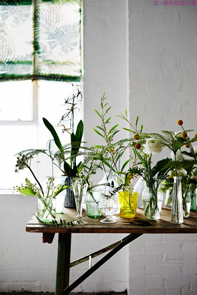 這些自帶天然氣質的網紅綠植，都成了設計界的新寵兒！-別墅軟裝設計,軟裝設計,室內軟裝設計,室內設計,豪宅設計,深圳例外軟裝設計公司