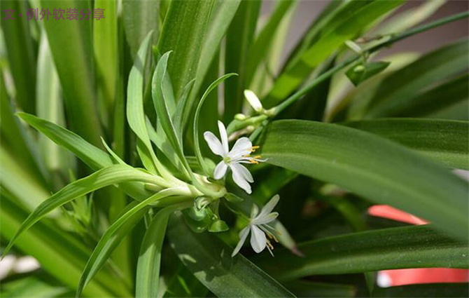 二胎時代兒童健康"隱形殺手"之甲醛，到底從何而來？-別墅設計,軟裝設計,室內設計,豪宅設計,深圳例外軟裝設計公司