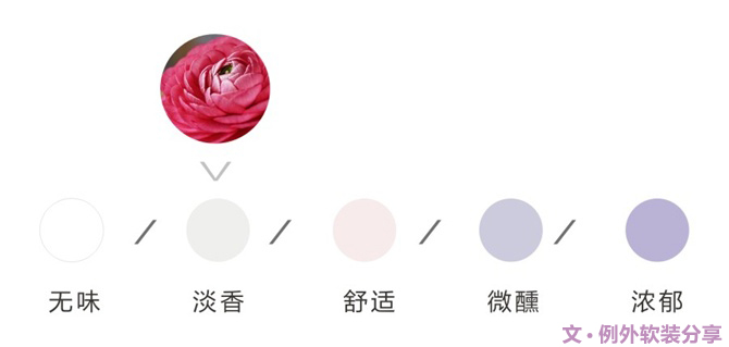 【例外·花箋記】洋牡丹，花叢中的人氣精靈-別墅設計,軟裝設計,室內設計,豪宅設計,深圳例外軟裝設計公司