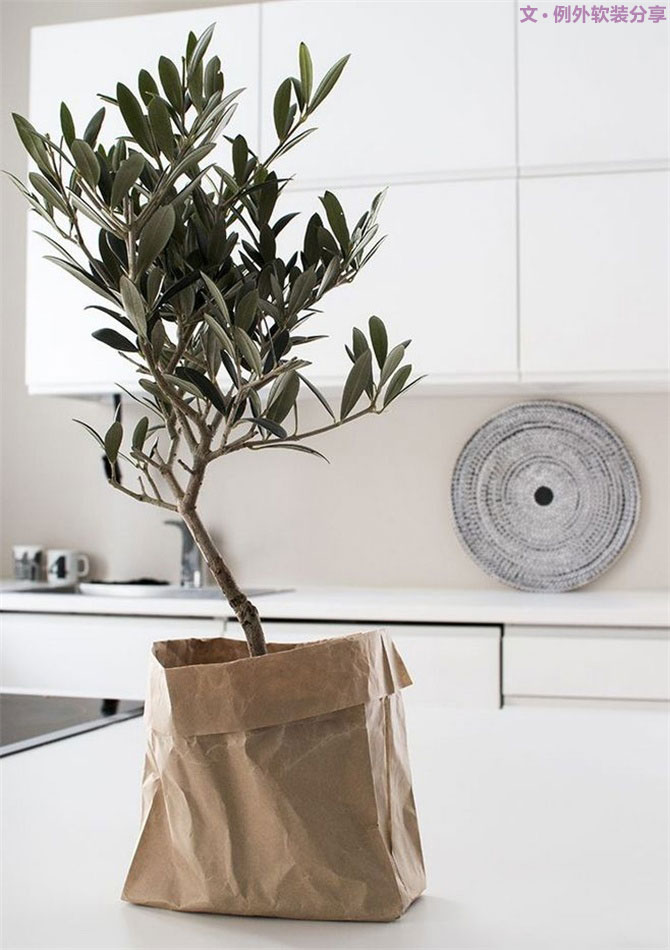 別再花錢(qián)買(mǎi)普通的花盆了，這才是種花神器！-別墅設(shè)計(jì),軟裝設(shè)計(jì),室內(nèi)設(shè)計(jì),豪宅設(shè)計(jì),深圳例外軟裝設(shè)計(jì)公司