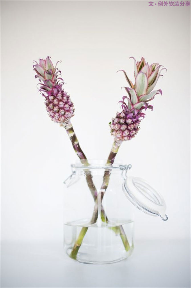 設計師揭秘8種適合冬季擺放的鮮花！-別墅設計,軟裝設計,室內設計,豪宅設計,深圳例外軟裝設計公司