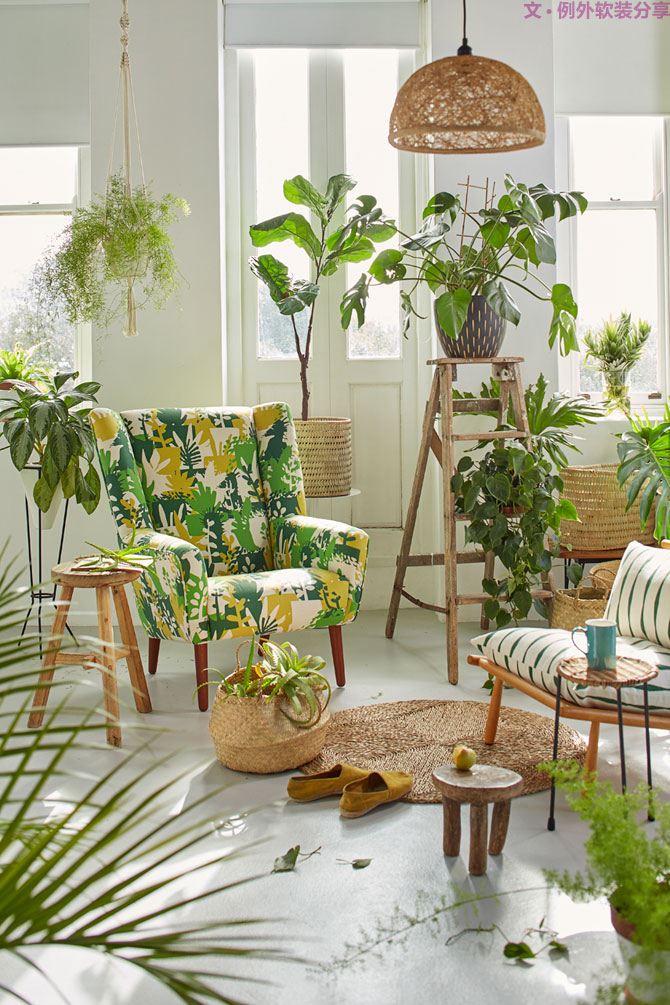 這些自帶天然氣質的網紅綠植，都成了設計界的新寵兒！-別墅軟裝設計,軟裝設計,室內軟裝設計,室內設計,豪宅設計,深圳例外軟裝設計公司