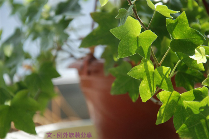 新房子裝修甲醛從哪里來？-別墅設計,軟裝設計,室內設計,豪宅設計,深圳例外軟裝設計公司