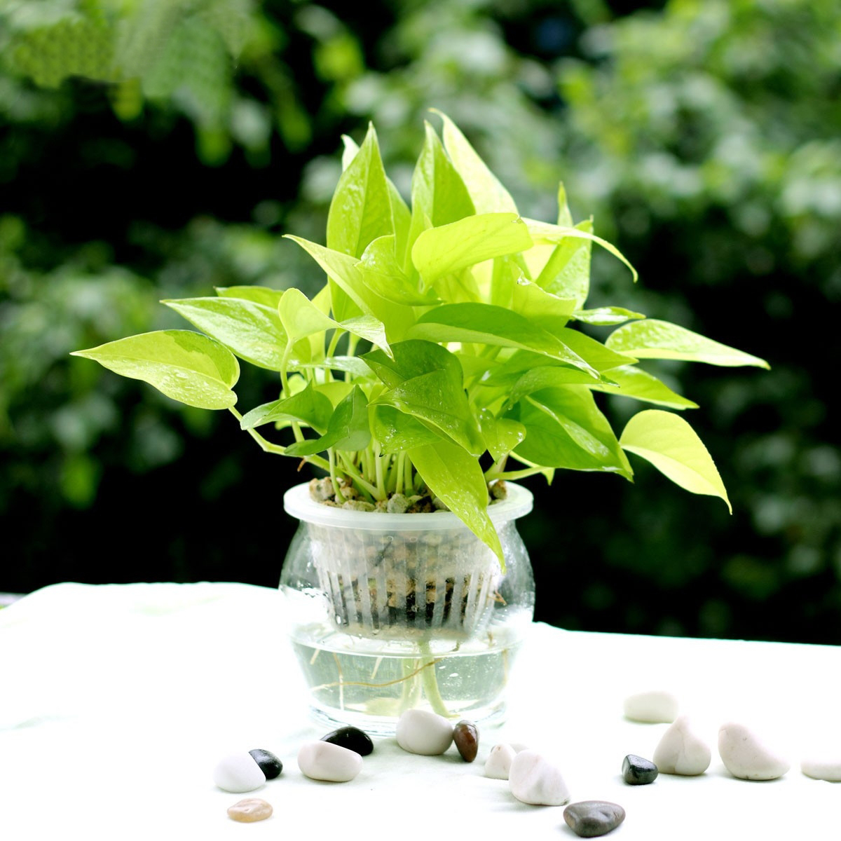 二胎時代兒童健康"隱形殺手"之甲醛，到底從何而來？-別墅設計,軟裝設計,室內設計,豪宅設計,深圳例外軟裝設計公司