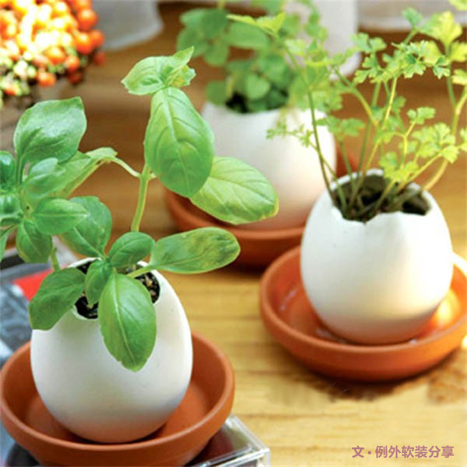 對于舊物家居設計師這樣用，給家添一抹生機！-別墅設計,軟裝設計,室內設計,豪宅設計,深圳例外軟裝設計公司