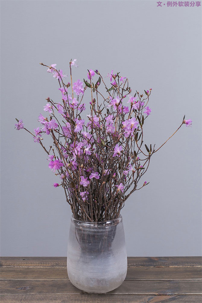 設計師揭秘8種適合冬季擺放的鮮花！-別墅設計,軟裝設計,室內設計,豪宅設計,深圳例外軟裝設計公司