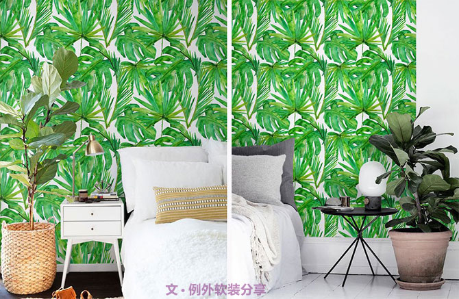 龜背竹遠不止能去除甲醛，原來還有這么多作用！-別墅設計,軟裝設計,室內設計,豪宅設計,深圳例外軟裝設計公司