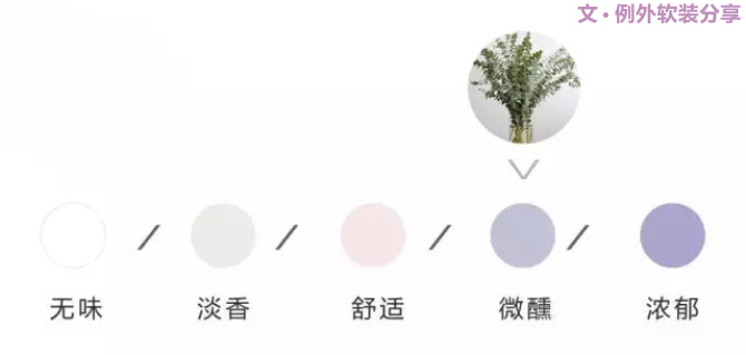 【例外.花箋記】尤加利，花藝界的百搭神葉-別墅設計,軟裝設計,室內設計,豪宅設計,深圳例外軟裝設計公司