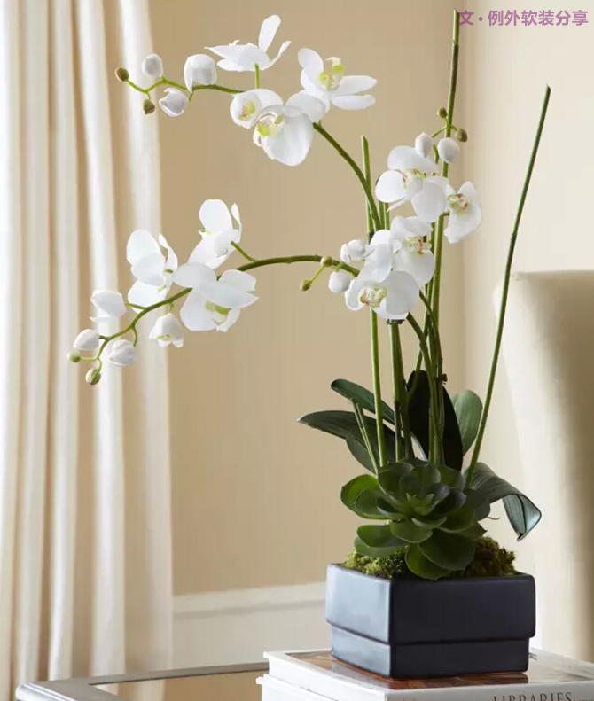 這才叫真正的花藝，你那只算小盆綠植（下）-別墅設計,軟裝設計,室內(nèi)設計,豪宅設計,深圳例外軟裝設計公司