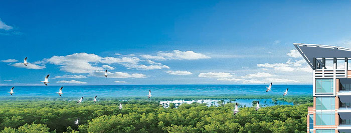 【新簽約】深圳翠堤灣頂層室內軟裝設計